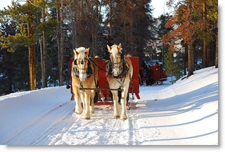 sleigh drop shadow